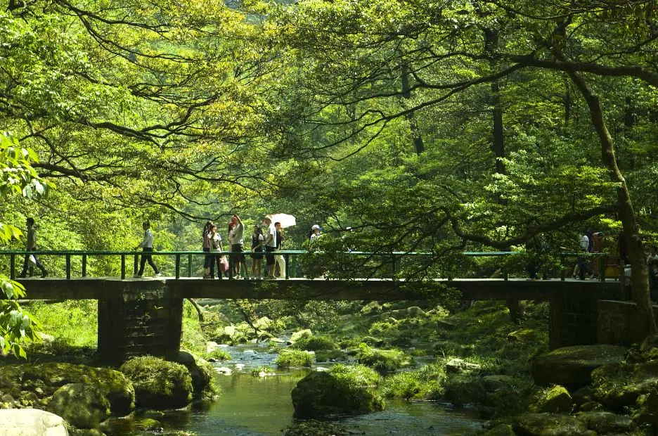 Bridge image